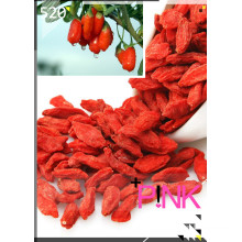 Ningxia Organic Goji Berry Anbieter-2016 New Corp